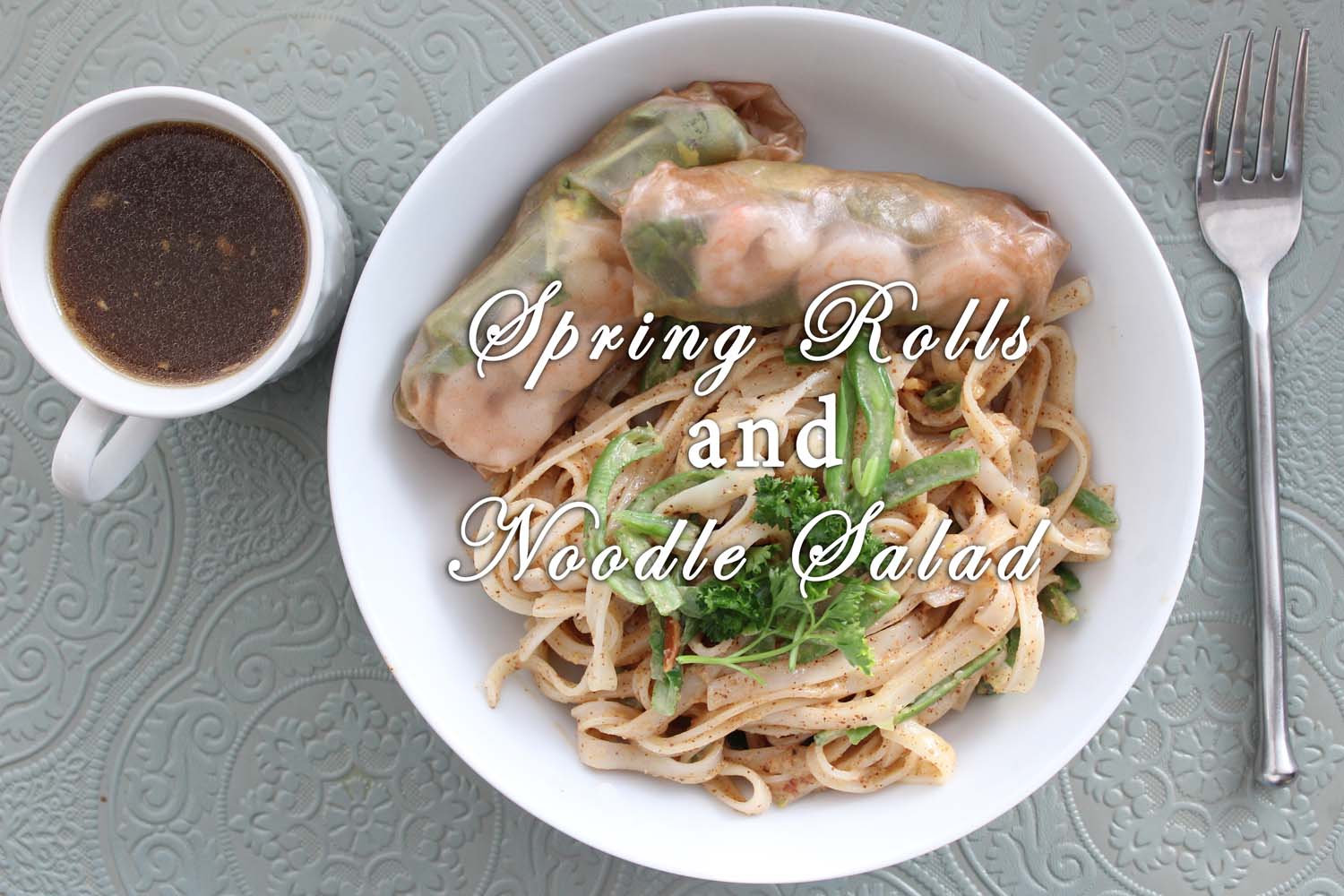 Spring Rolls & Noodle Salad