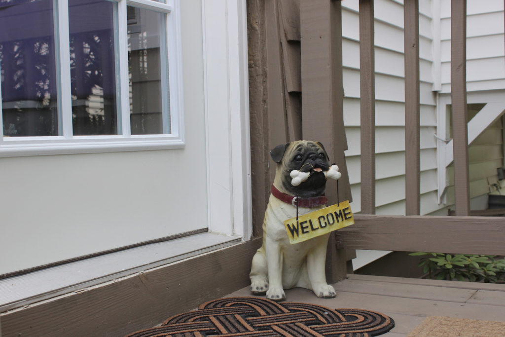 Welcome home pug